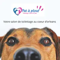 Pat A Plouf
