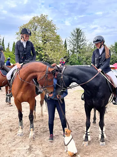Ecurie Julia Blondel
