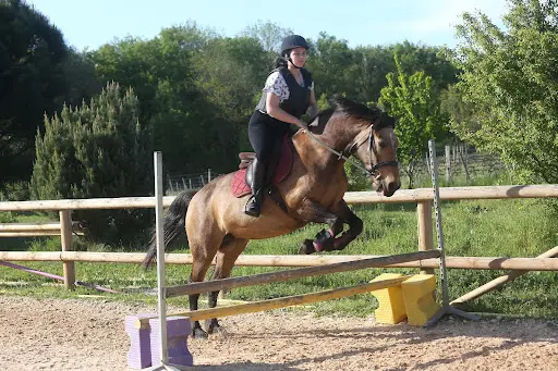Pony Gônes