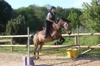 Pony Gônes