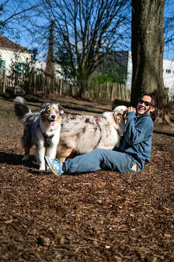 Doggizzy - Education Canine - Paris et Val-de-marne (75-94)