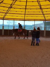 Ferme Equestre du Petit Villers