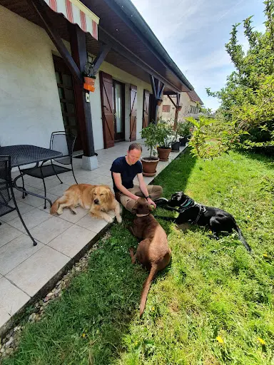 Eduque Ton Humain - Educateur de Chiens et de Leurs Humains