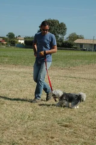 A l'Education Canine d'Orthez