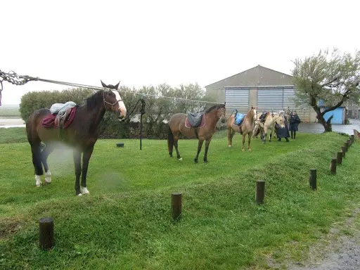 La Cavalerie de Montchaton