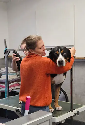 O Rendez-vous Canin
