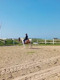 Étriers de la Plage