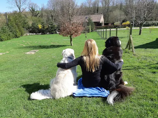 Déclic Dog Passion