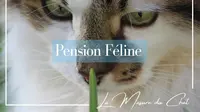La Masure du Chat