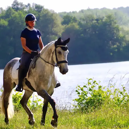 Bérénice Roussel Entraîneure - Cavalière