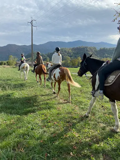 Ferme Equestre le Bourdalat