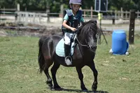 Equi-loisir