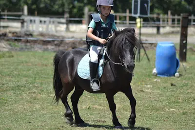 Equi-loisir