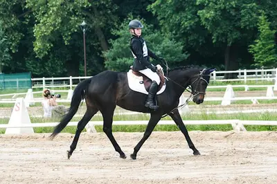 Poney Club d'Ozoir