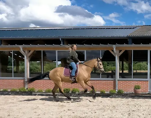 Haras du Casse