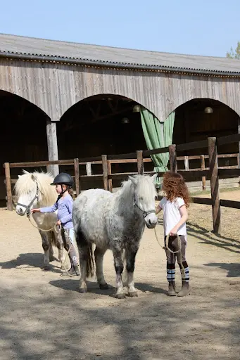 Poney Club Shamrock