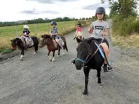La Ferme Équestre des Burons