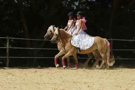Poney Club d'Emilie