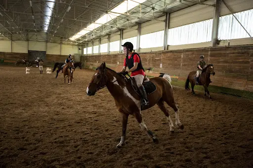 Centre Equestre Militaire Ecole Polytechnique
