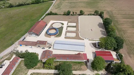Haras de la Bruyère