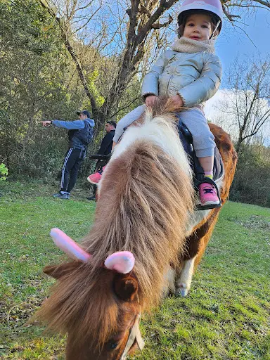 Poneyadventure