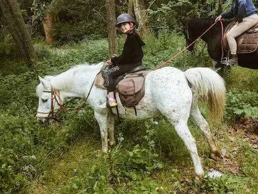 Rando et Chariot