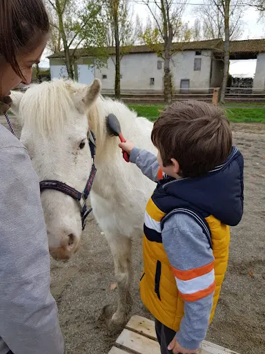 Equi Terra81/equithérapie - Font Caroline