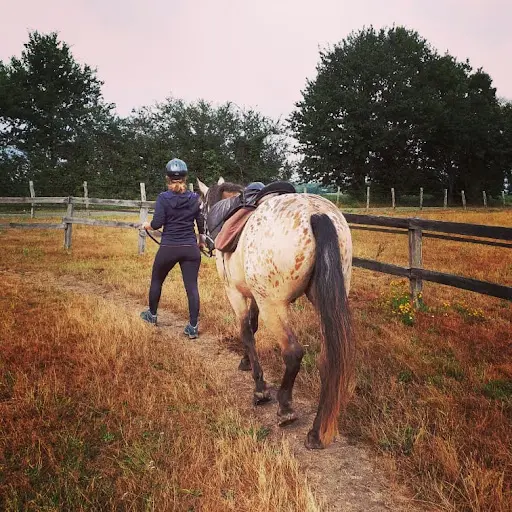 Parigne Cheval Aventures