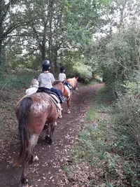 Centre Equestre de la Vallée