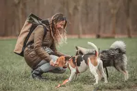 Jolie Meute - Éducation Canine
