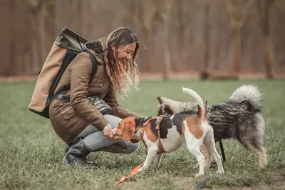 Jolie Meute - Éducation Canine
