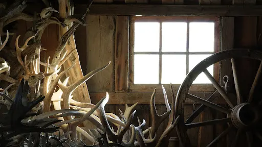 Cernunos