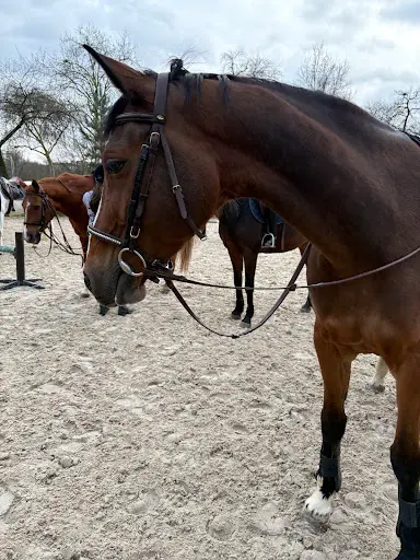 Le Manege Dauphine