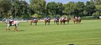 Polo de Paris