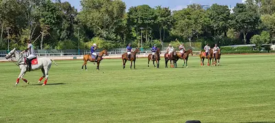 Polo de Paris
