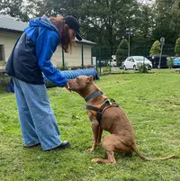Carinaduflair - Comportementaliste et Educateur Canin