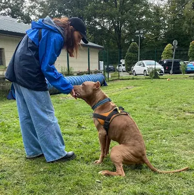 Carinaduflair - Comportementaliste et Educateur Canin