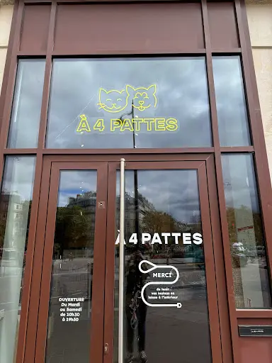 À 4 Pattes