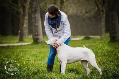 Educateur Canin Meute Citadine