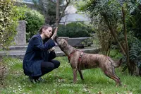 Charlotte Courrière – Éducatrice Comportementaliste Canin et Félin