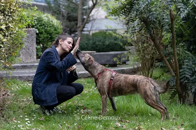 Charlotte Courrière – Éducatrice Comportementaliste Canin et Félin
