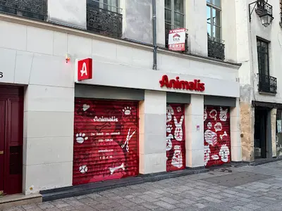 Animalis Paris 3 - Rambuteau