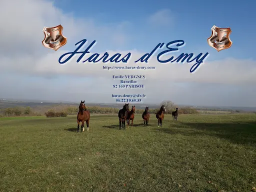 Haras d'Emy