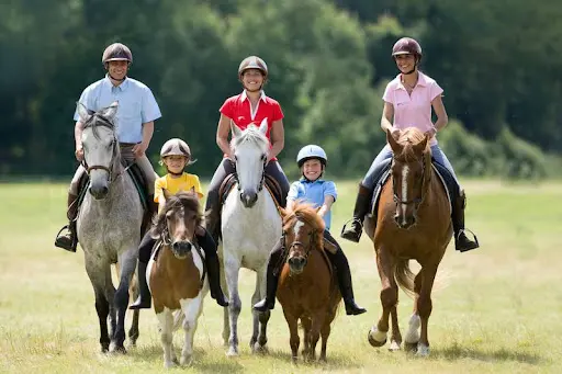 Ecole d'Equitation Romanaise