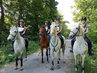 Les Poneys de Parpeville