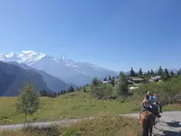 Les Écuries d'Antan