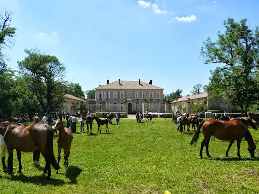Haras d'Olympe