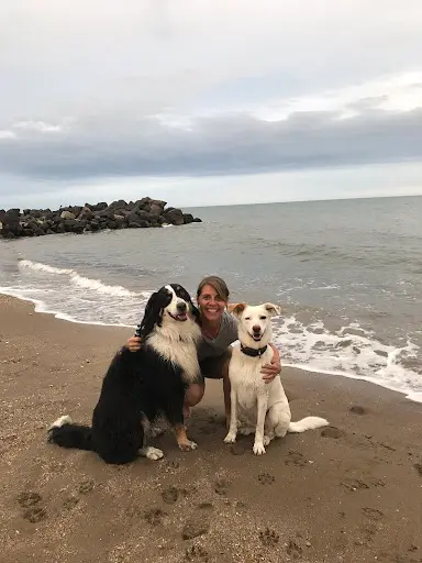 Ô Croc Mignon - Pension et Éducation Canine