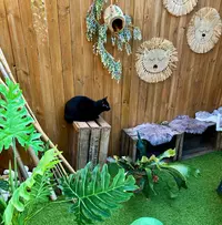 Hotel-cats.com Pension Pour Chat