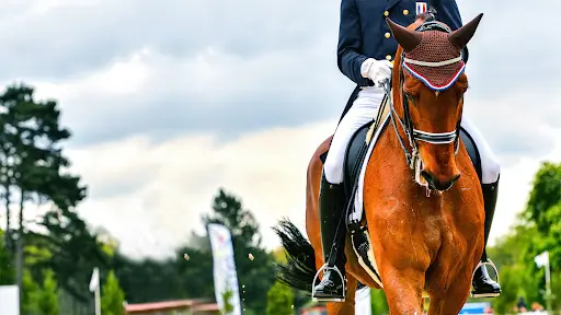 Chevaux d'Ambias